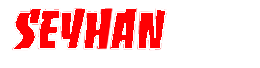 seyhan boya logo